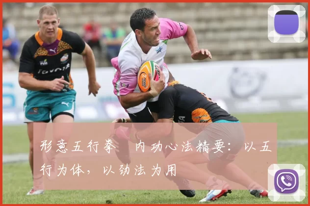 形意五行拳・内功心法精要：以五行为体，以劲法为用