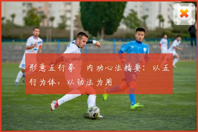 形意五行拳・内功心法精要：以五行为体，以劲法为用