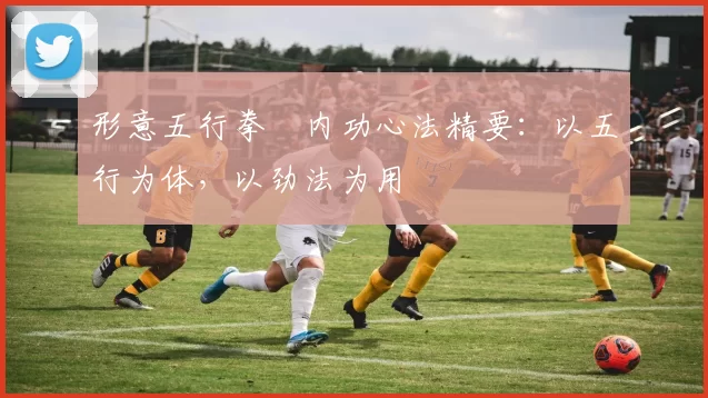 形意五行拳・内功心法精要：以五行为体，以劲法为用