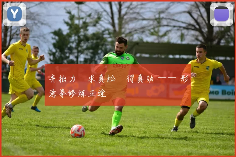 弃拙力・求真松・得真劲 —— 形意拳修炼正途