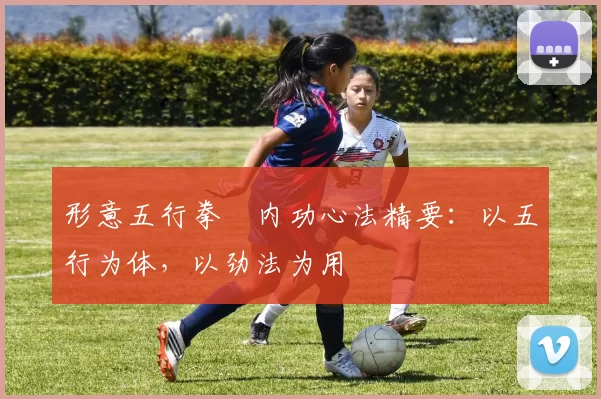 形意五行拳・内功心法精要：以五行为体，以劲法为用