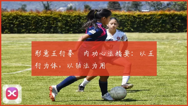 形意五行拳・内功心法精要：以五行为体，以劲法为用