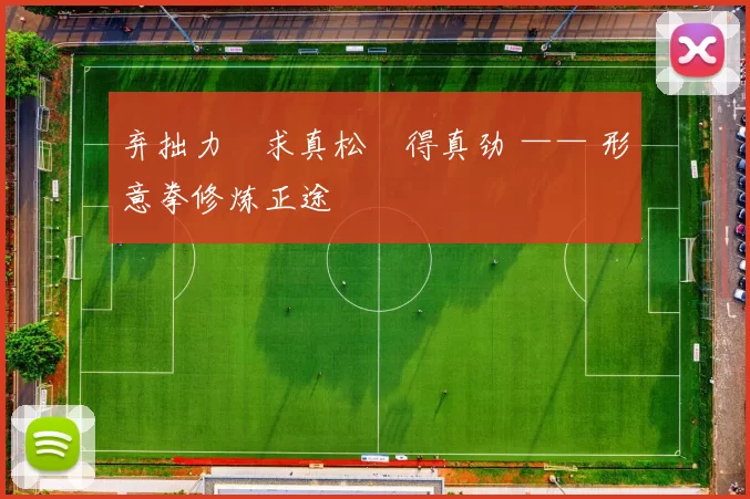 弃拙力・求真松・得真劲 —— 形意拳修炼正途