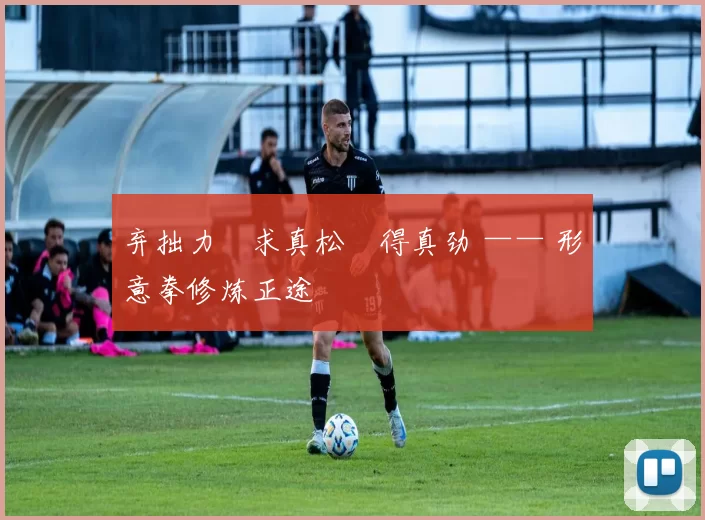 弃拙力・求真松・得真劲 —— 形意拳修炼正途