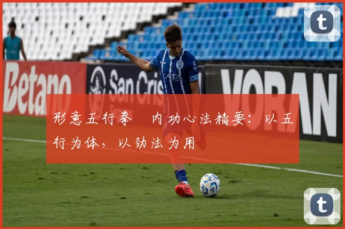 形意五行拳・内功心法精要：以五行为体，以劲法为用