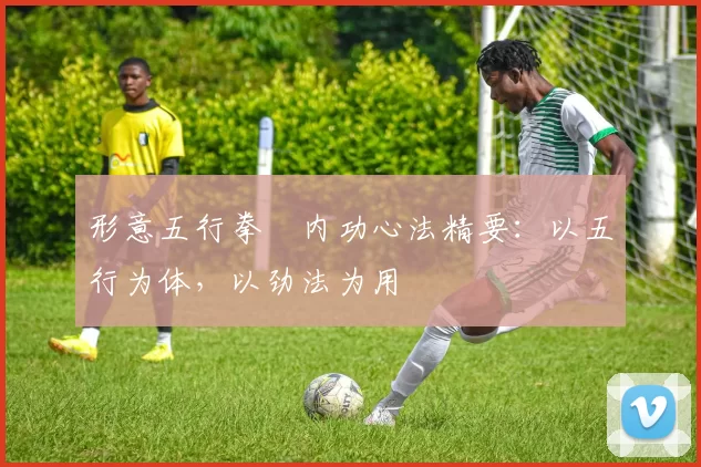 形意五行拳・内功心法精要：以五行为体，以劲法为用