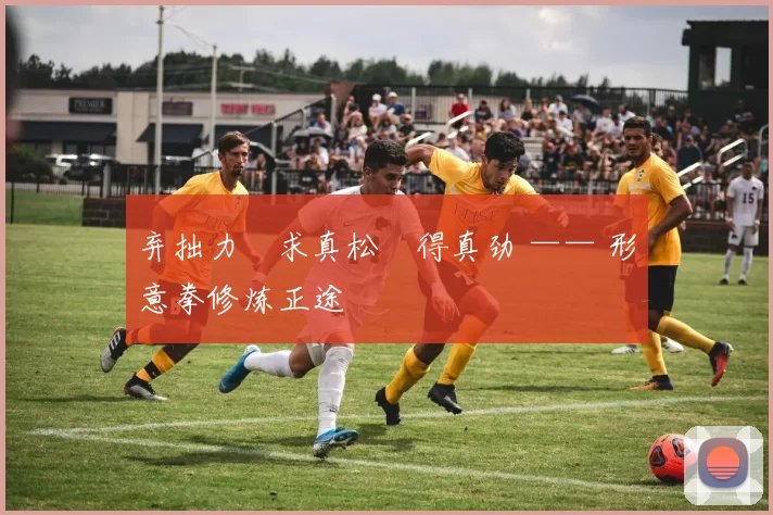 弃拙力・求真松・得真劲 —— 形意拳修炼正途