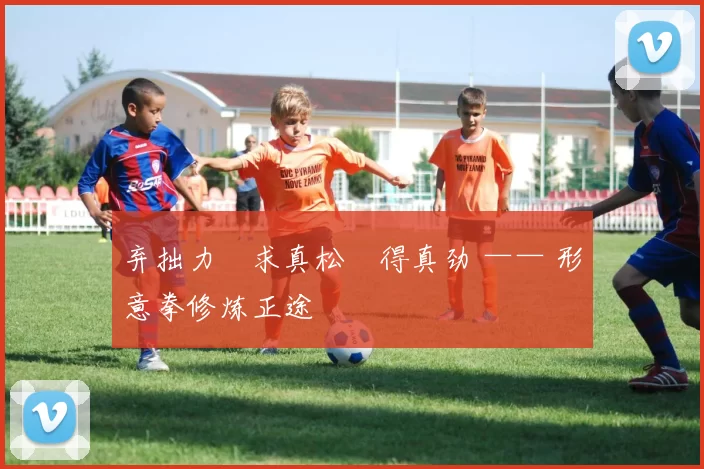 弃拙力・求真松・得真劲 —— 形意拳修炼正途