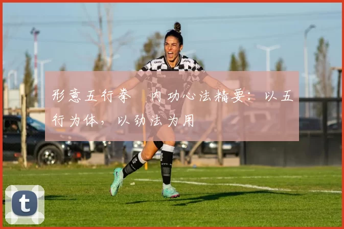形意五行拳・内功心法精要:以五行为体,以劲法为用