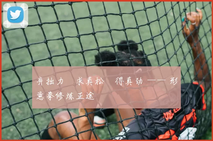 弃拙力・求真松・得真劲 —— 形意拳修炼正途