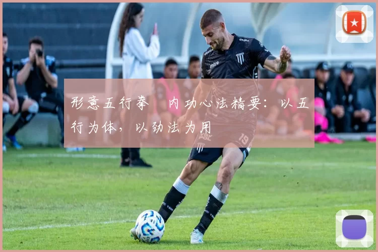 形意五行拳・内功心法精要:以五行为体,以劲法为用