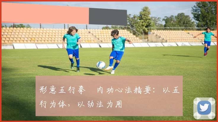 形意五行拳・内功心法精要:以五行为体,以劲法为用