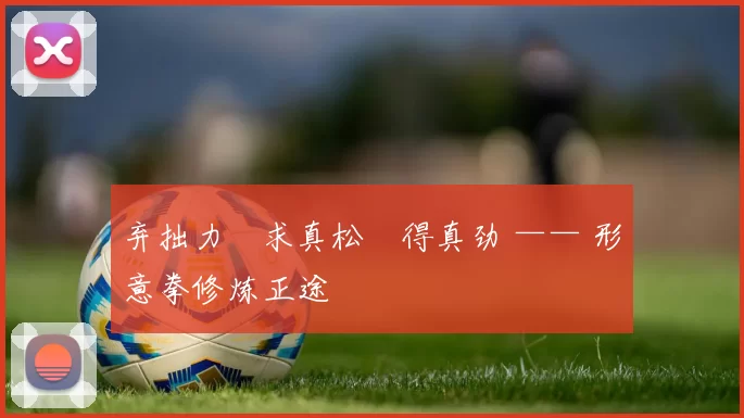 弃拙力・求真松・得真劲 —— 形意拳修炼正途