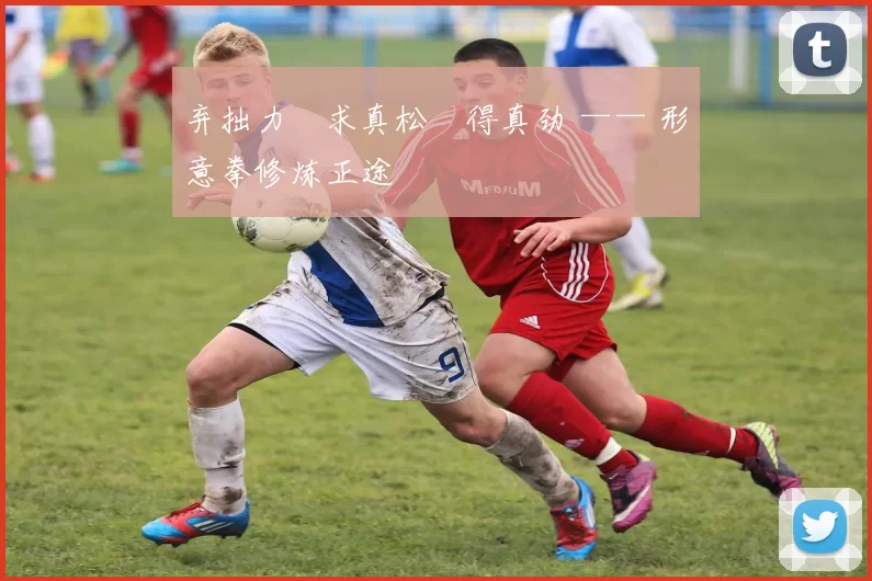 弃拙力・求真松・得真劲 —— 形意拳修炼正途