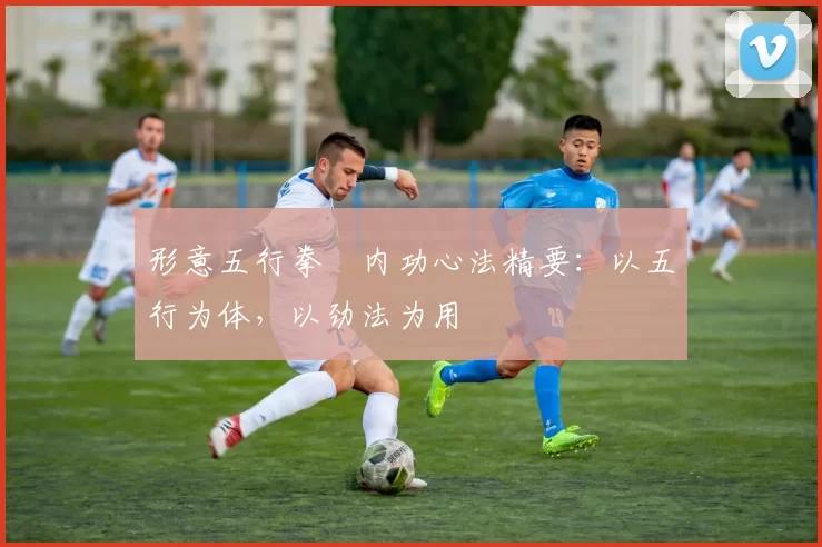 形意五行拳・内功心法精要：以五行为体，以劲法为用