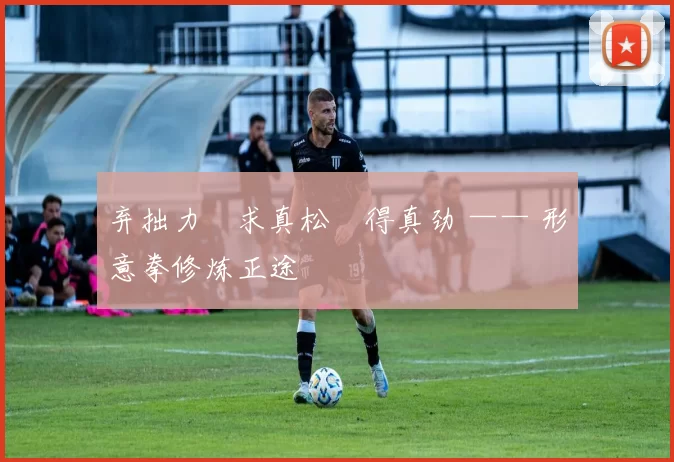 弃拙力・求真松・得真劲 —— 形意拳修炼正途