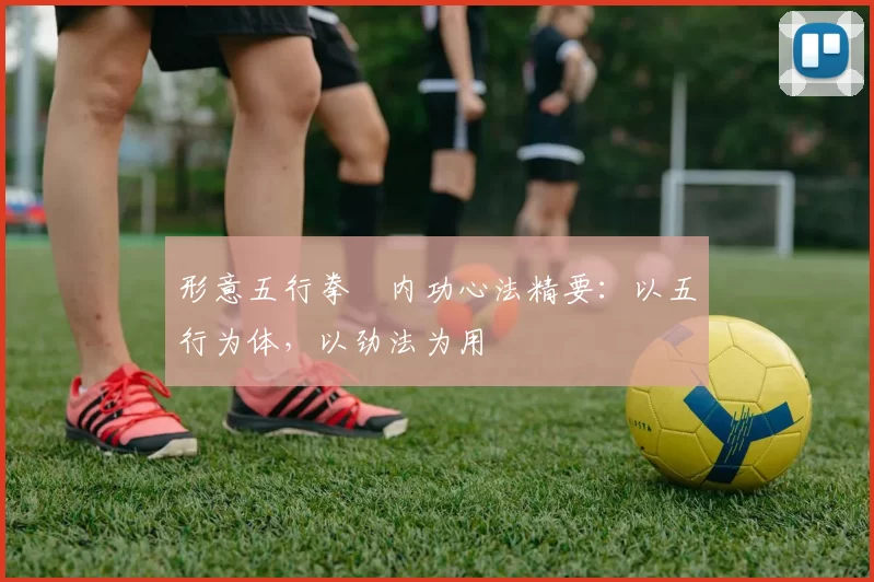 形意五行拳・内功心法精要：以五行为体，以劲法为用