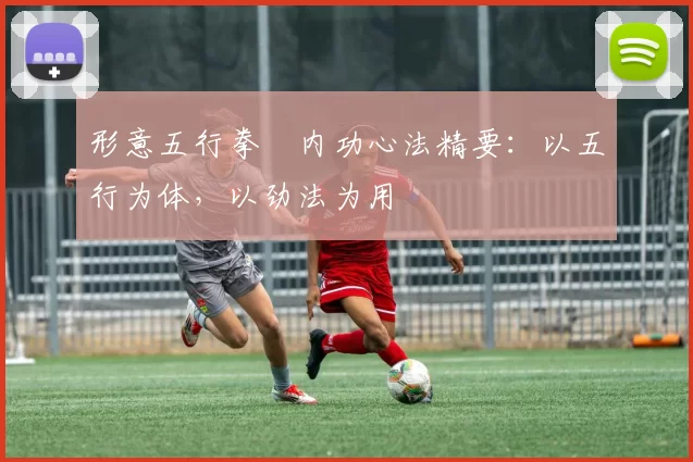 形意五行拳・内功心法精要:以五行为体,以劲法为用