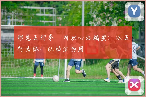 形意五行拳・内功心法精要：以五行为体，以劲法为用