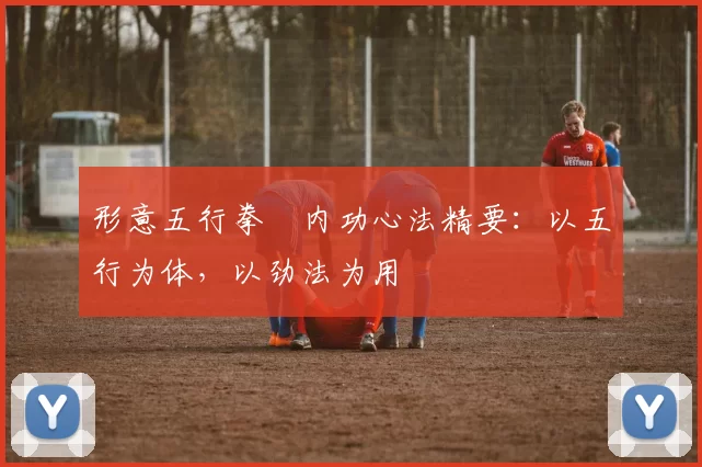 形意五行拳・内功心法精要:以五行为体,以劲法为用