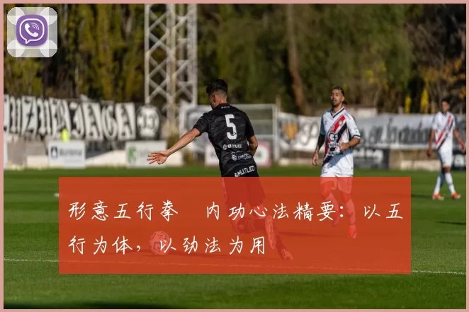 形意五行拳・内功心法精要：以五行为体，以劲法为用