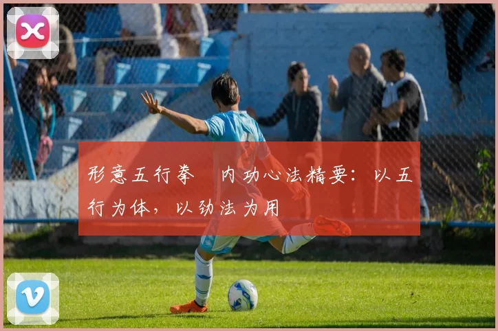 形意五行拳・内功心法精要：以五行为体，以劲法为用