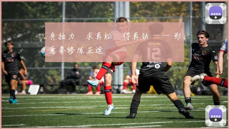 弃拙力・求真松・得真劲 —— 形意拳修炼正途