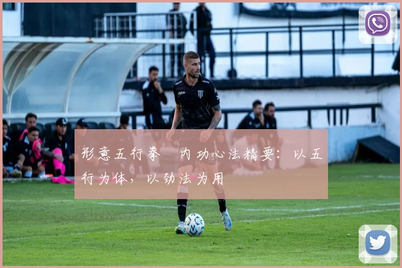 形意五行拳・内功心法精要:以五行为体,以劲法为用