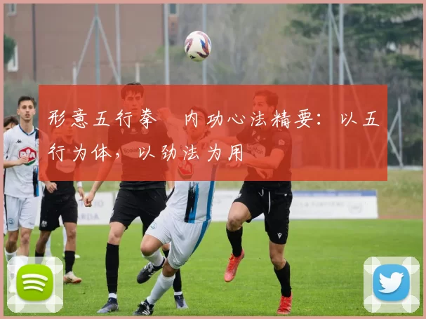 形意五行拳・内功心法精要:以五行为体,以劲法为用