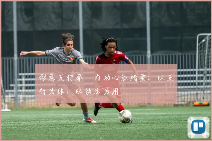 形意五行拳・内功心法精要：以五行为体，以劲法为用