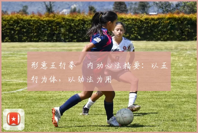 形意五行拳・内功心法精要:以五行为体,以劲法为用