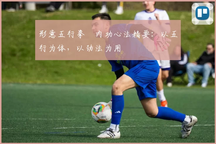 形意五行拳・内功心法精要:以五行为体,以劲法为用