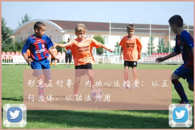 形意五行拳・内功心法精要：以五行为体，以劲法为用