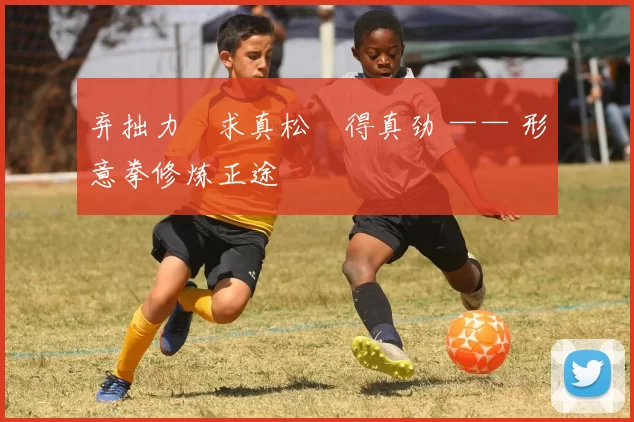 弃拙力・求真松・得真劲 —— 形意拳修炼正途