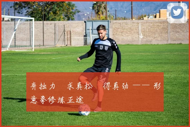 弃拙力・求真松・得真劲 —— 形意拳修炼正途