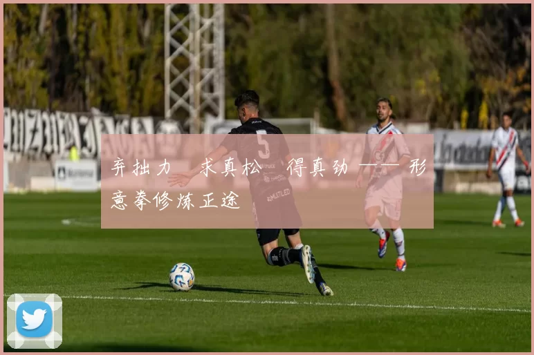 弃拙力・求真松・得真劲 —— 形意拳修炼正途