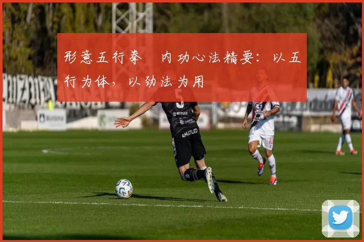 形意五行拳・内功心法精要:以五行为体,以劲法为用