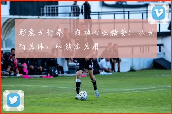 形意五行拳・内功心法精要：以五行为体，以劲法为用