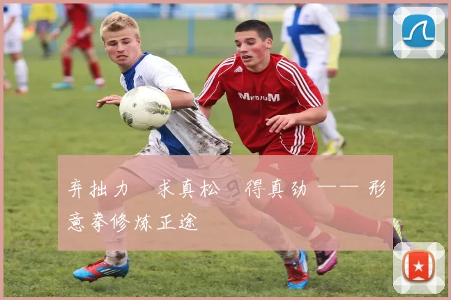 弃拙力・求真松・得真劲 —— 形意拳修炼正途