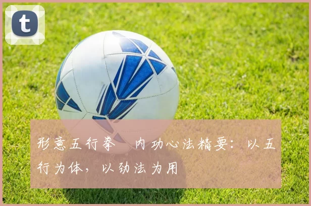 形意五行拳・内功心法精要:以五行为体,以劲法为用