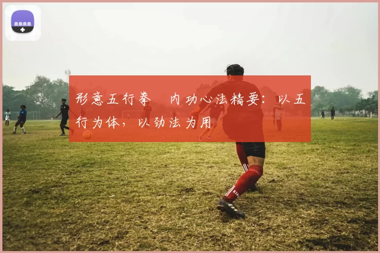 形意五行拳・内功心法精要:以五行为体,以劲法为用