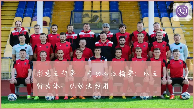 形意五行拳・内功心法精要：以五行为体，以劲法为用
