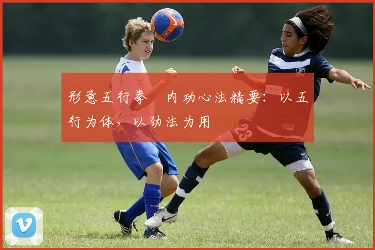 形意五行拳・内功心法精要：以五行为体，以劲法为用