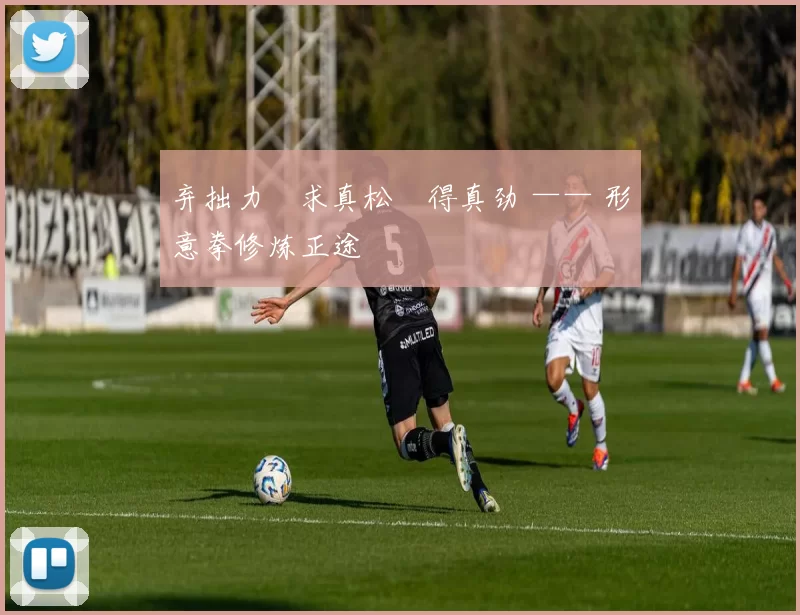 弃拙力・求真松・得真劲 —— 形意拳修炼正途