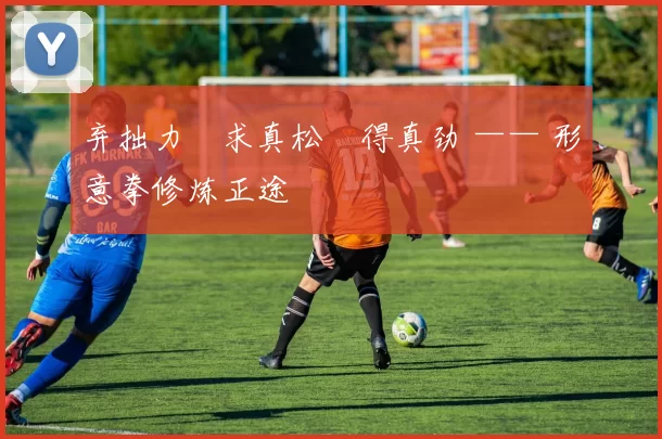 弃拙力・求真松・得真劲 —— 形意拳修炼正途