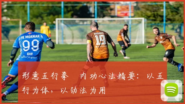 形意五行拳・内功心法精要：以五行为体，以劲法为用