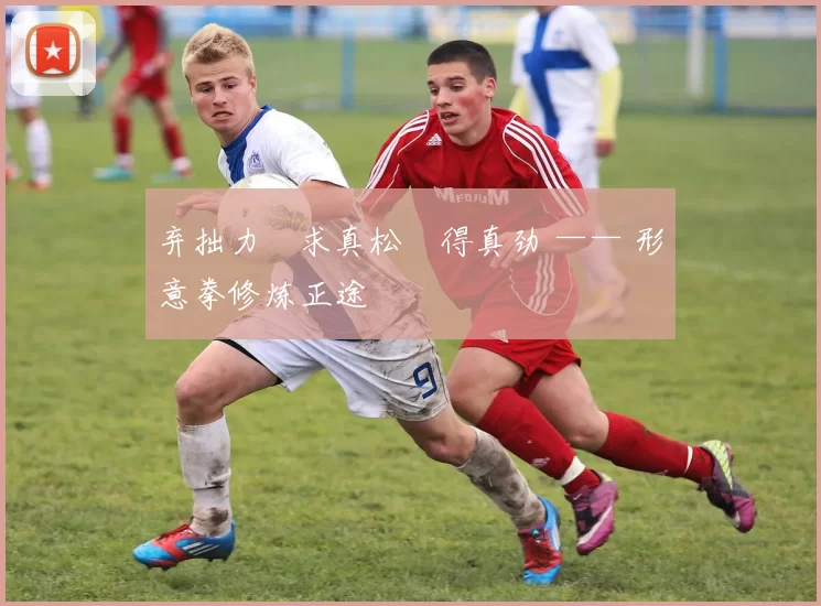 弃拙力・求真松・得真劲 —— 形意拳修炼正途