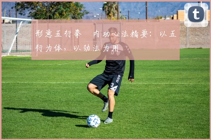 形意五行拳・内功心法精要：以五行为体，以劲法为用