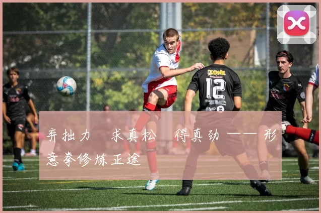 弃拙力・求真松・得真劲 —— 形意拳修炼正途