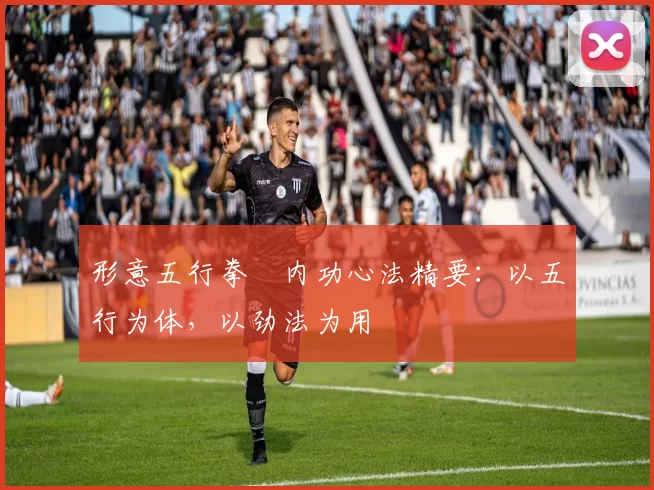 形意五行拳・内功心法精要：以五行为体，以劲法为用